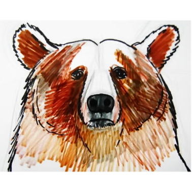 378x378 How To Draw A Head And Face Of A Bear
