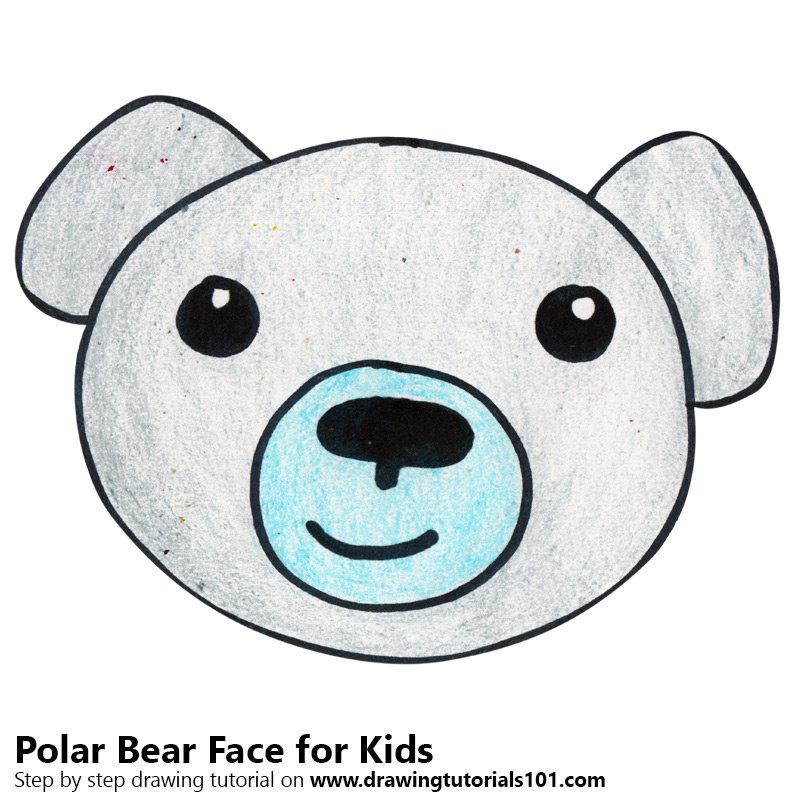 800x800 Learn How To Draw A Polar Bear Face Kids (Animal Faces