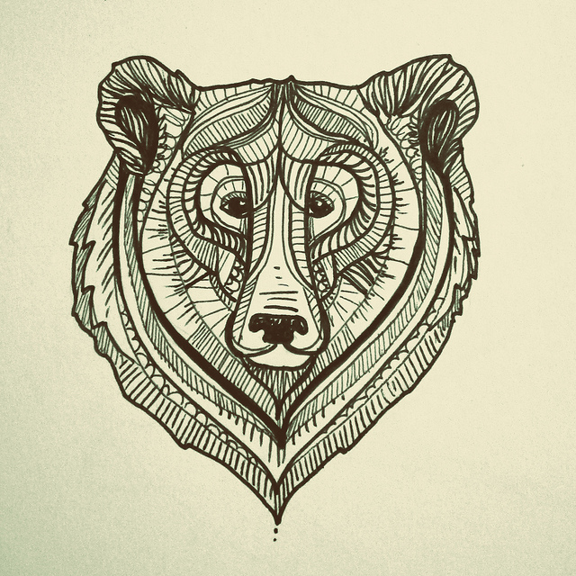 640x640 Bear Illustration Face Illustration, Bear Face And Drawing Designs