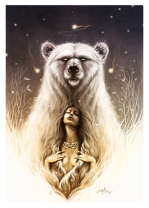 500x700 Hippie Bear Tumblr