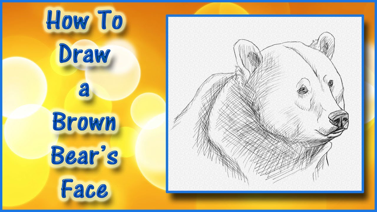 1280x720 How To Draw A Realistic Brown Bear's Face Drawing Tutorial