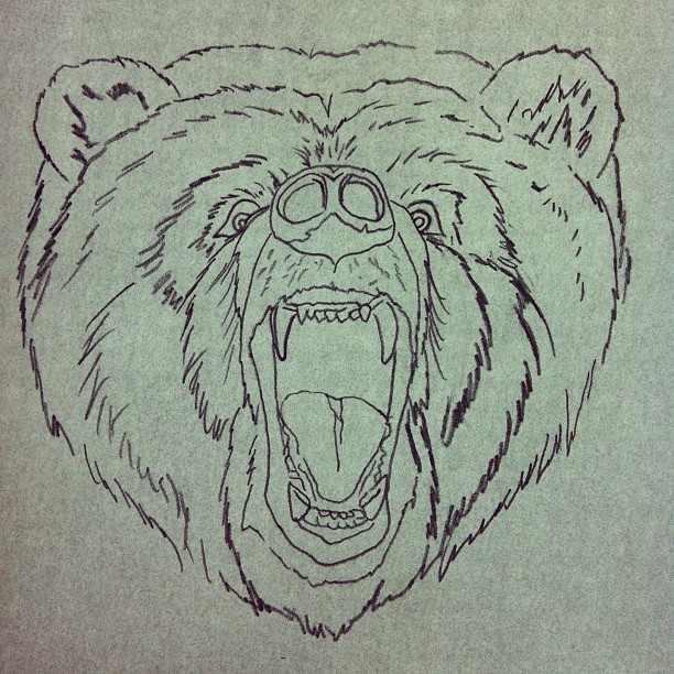 612x612 Bear Head Drawing