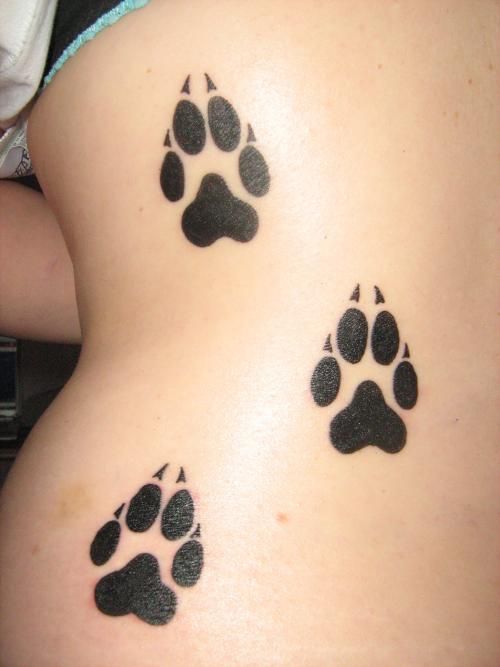 500x667 Tiger Paw Tattoos For Women 12 Sweet Paw Print Tattoo Designs
