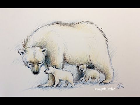 480x360 Colored Pencil Drawing Sketch Demo Polar Bear With Cubs