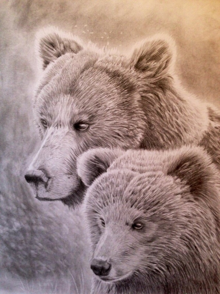 768x1024 Pencil Drawings Of Bears Grizzly Bear And Her Cub Pencil Portrait