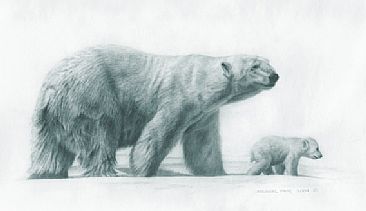 366x211 Polar Bear Amp Cub