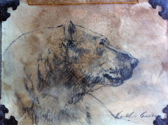 568x423 Kindrie Grove, Drawings