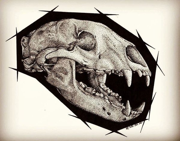 600x472 Bear Skull By Kams Touch Art