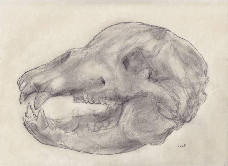 770x562 Saatchi Art Cave Bear Skull Drawing By Jeffrey Yount