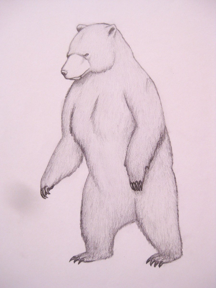 900x1200 Standing Bear. By Ninthtome