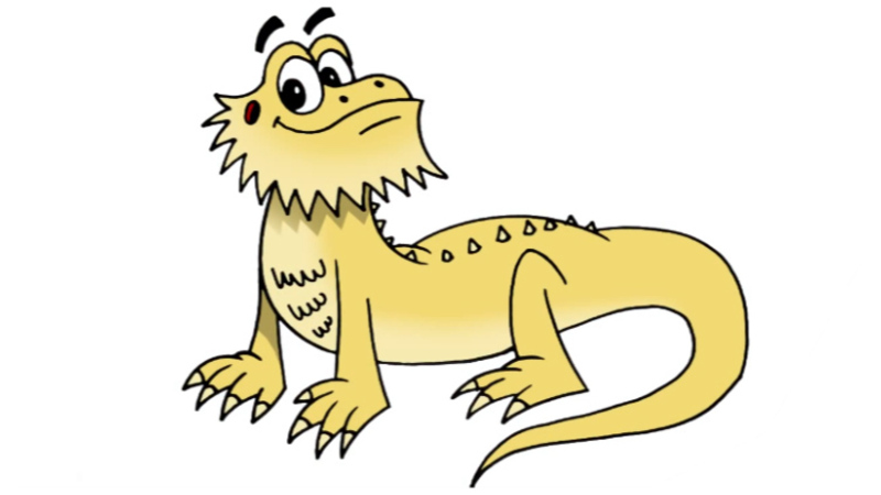 800x450 How To Draw A Bearded Dragon Lizard