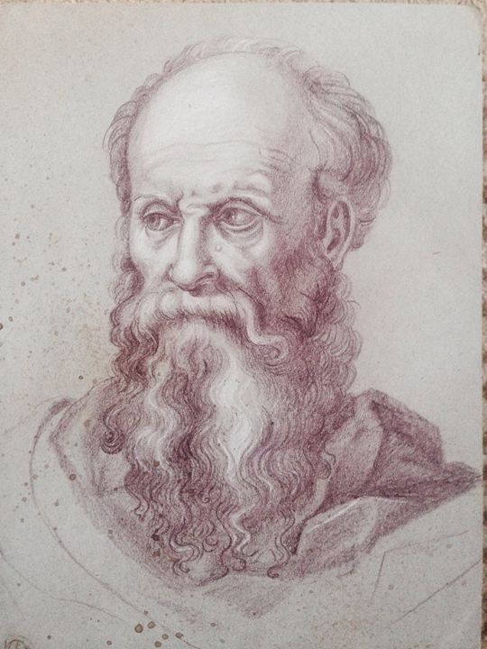540x720 Head Of A Bearded Man Facing Right