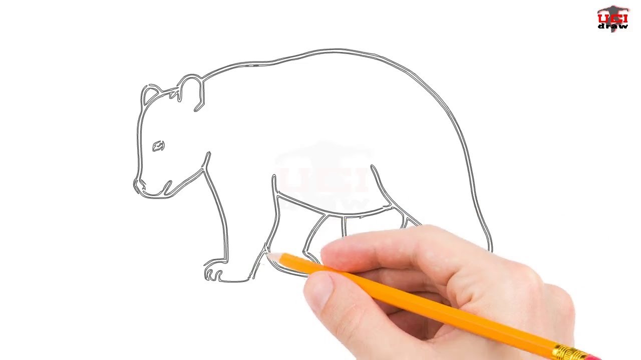 1280x720 How To Draw A Bear Step By Step Easy For Beginnerskids Simple