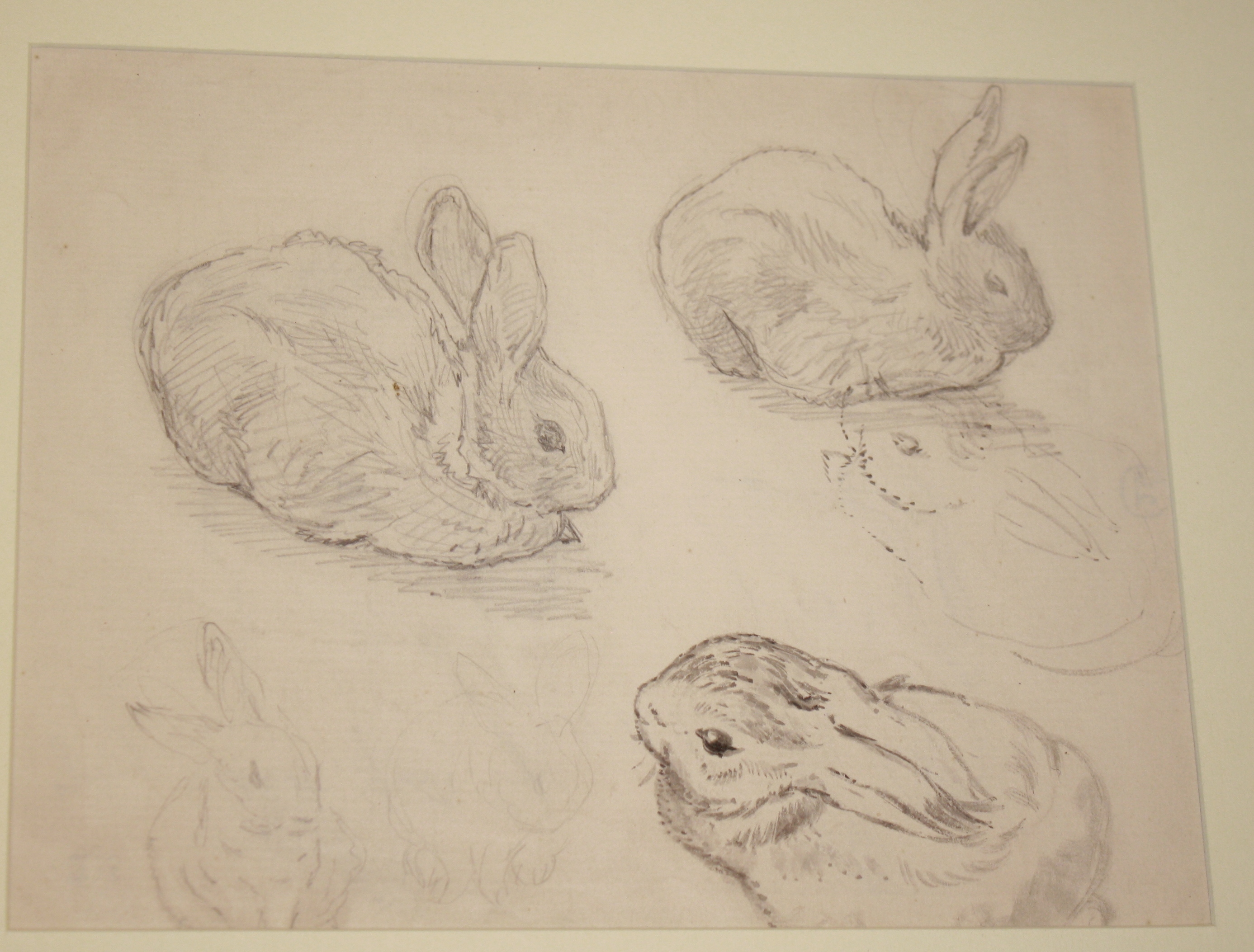 2773x2106 Drawings The Charming Little Bunny