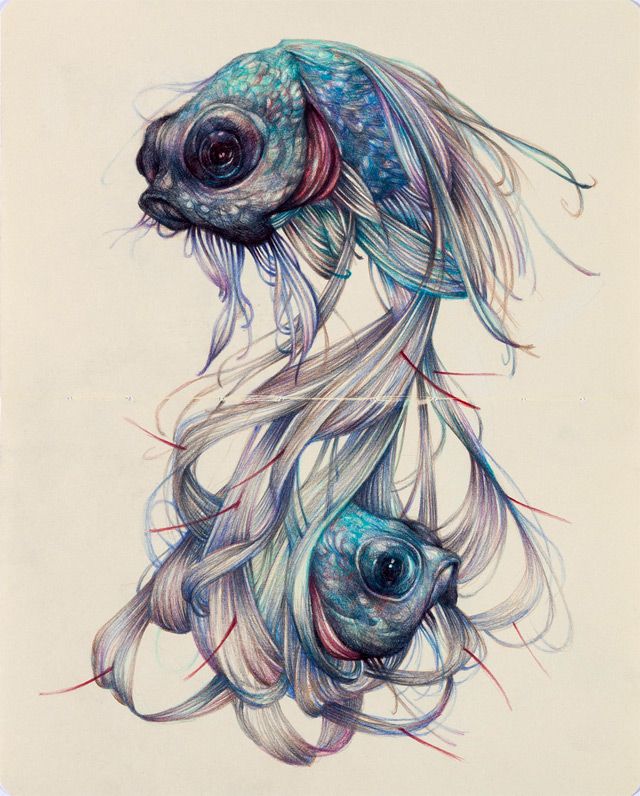 640x796 Beautiful Colored Pencil Drawing By Marco Mazzoni. Ooohh
