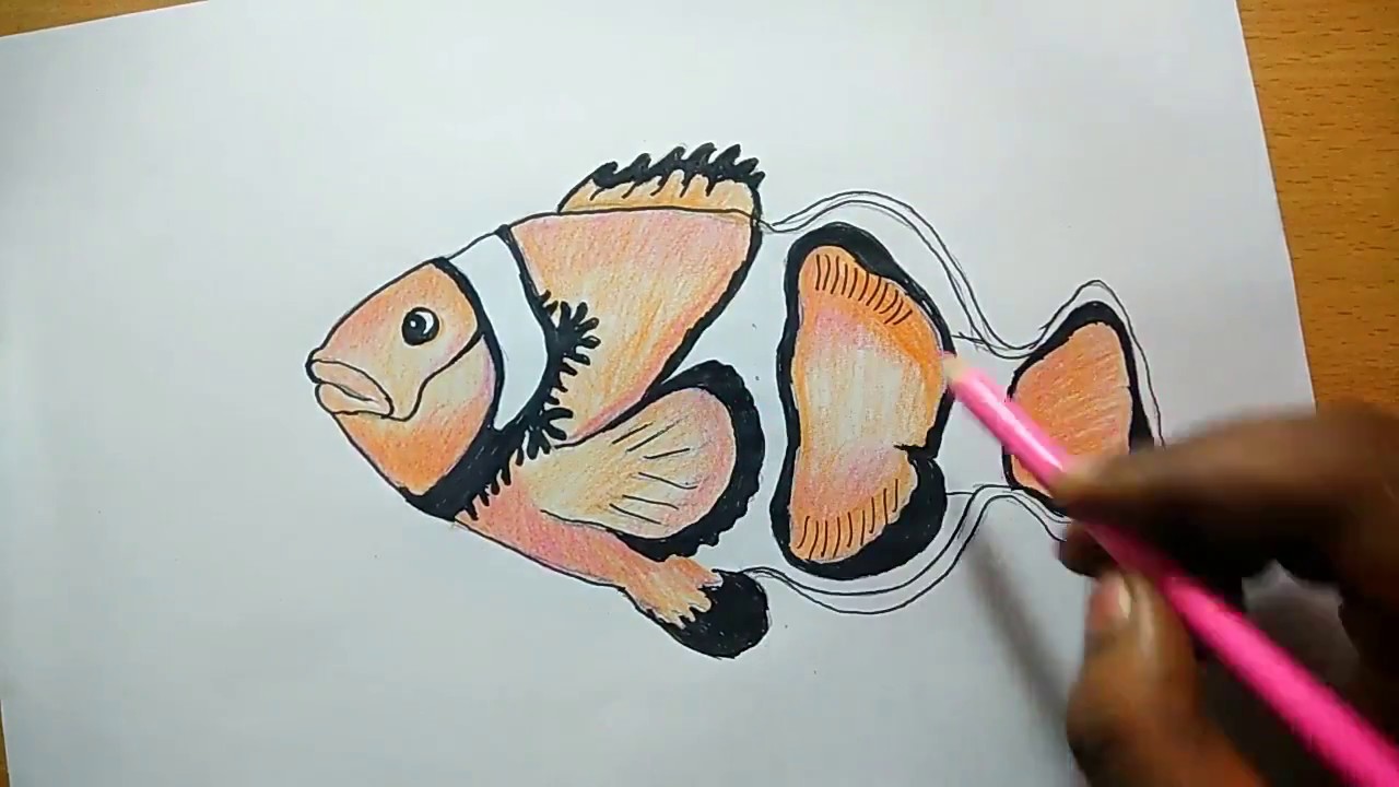 1280x720 Beautiful Fish Drawing