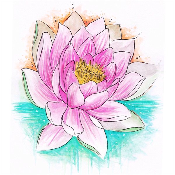 600x600 Flower Drawings Free Amp Premium Templates
