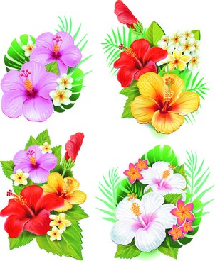 302x368 Beautiful Flowers Drawing Free Vector Download (104,941 Free