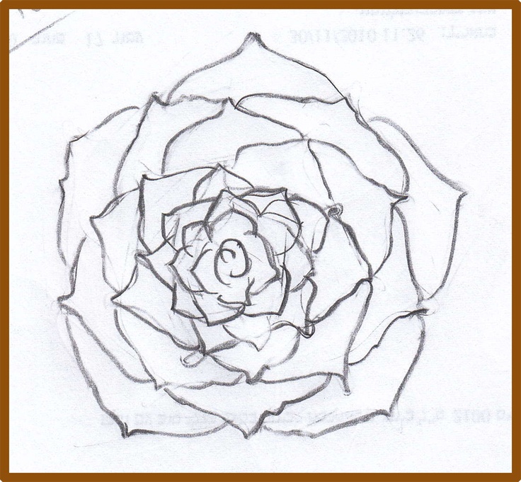 736x681 82 Best Learning How To Draw Images On Drawings