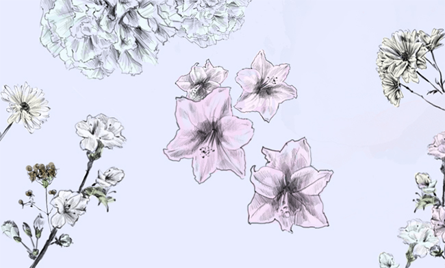 650x391 Blooming Garden Learn How To Draw Flowers In Just 4 Steps!