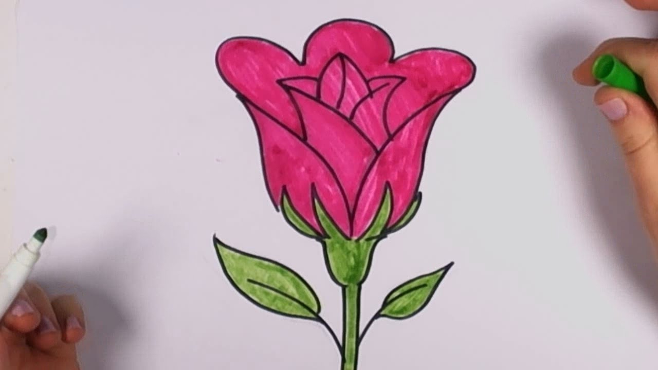 Beautiful Drawing Pictures Of Flowers