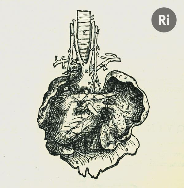 600x615 Royal Institution On Twitter More Life Fantastic Beautiful