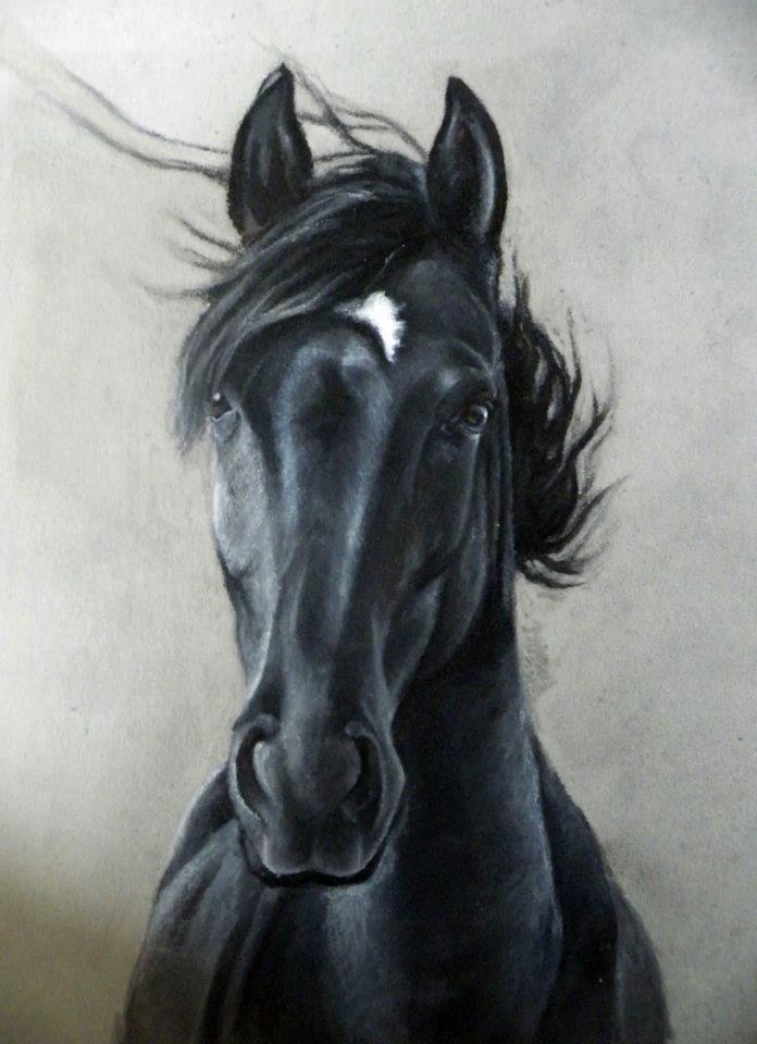 696x960 Beautiful Horse Drawing Pet Portraits Horse Drawn