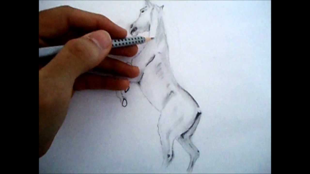 1280x720 Drawing A Beautiful Horse