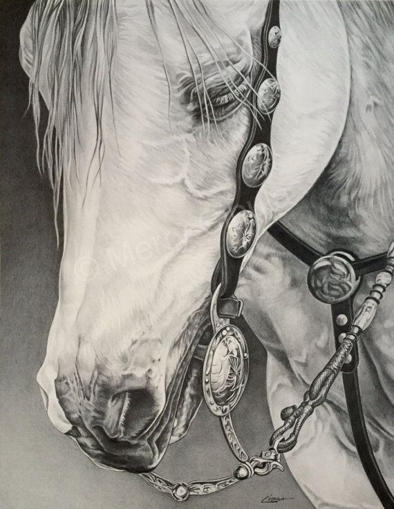 570x737 Pin By Beatrice D. On Favorite Horse Artwork Horse