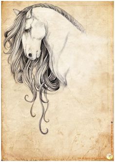 236x334 Horse Drawings