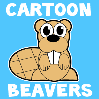 345x345 How To Draw A Cartoon Beaver With Easy Step By Step Drawing