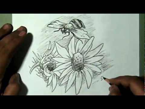 480x360 How To Draw Flower And Bee Yzarts Yzarts