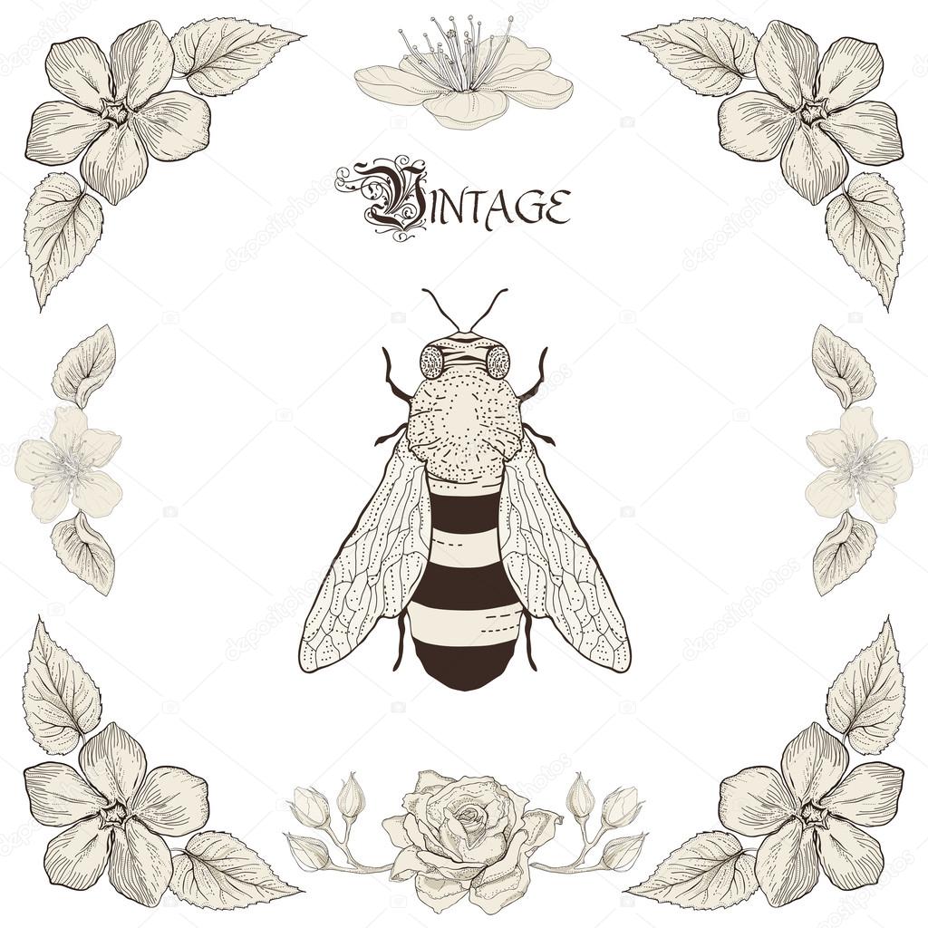 1024x1024 Bee Drawing Vintage Engraving Style Stock Vector Pani Ayanna