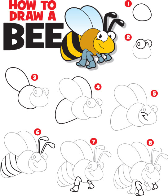 542x633 How To Draw A Bee Kid Scoop