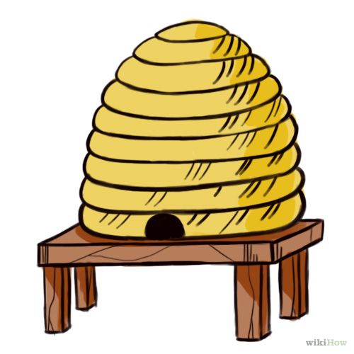 500x500 How To Draw A Beehive 7 Steps (With Pictures)