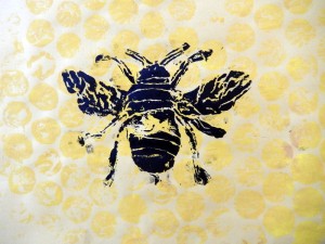 300x225 Scientific Drawings Bee Prints