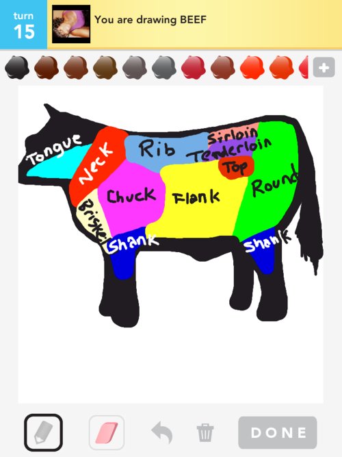 500x667 Beef Drawings