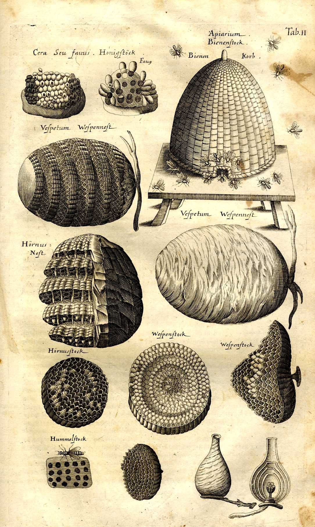 1084x1812 Encyclopedie Universelle De La Langue Abeille