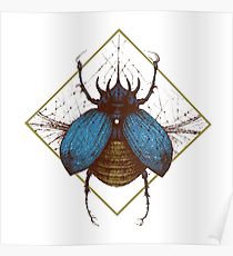 210x230 Blue Beetle Drawing Posters Redbubble