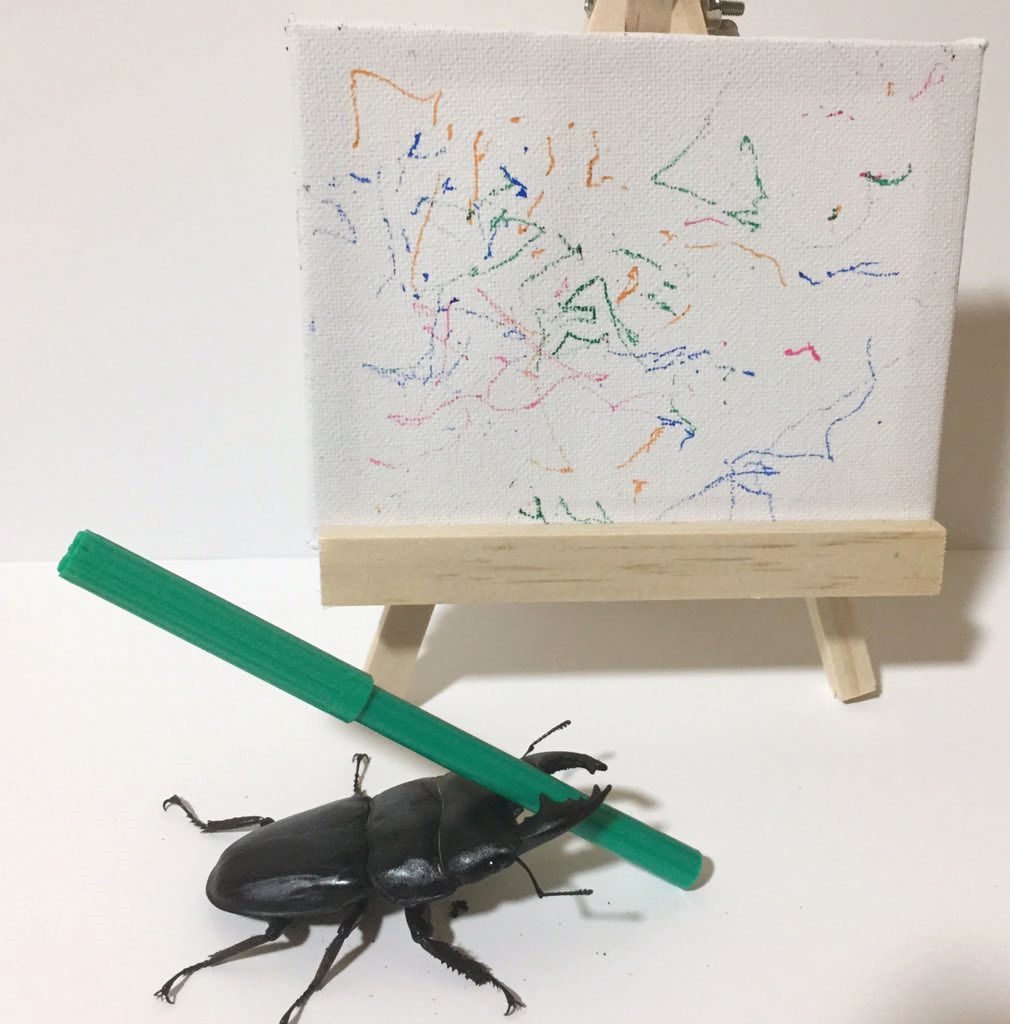 1010x1024 Spike The Drawing Beetle Is Captivating The Internet With His