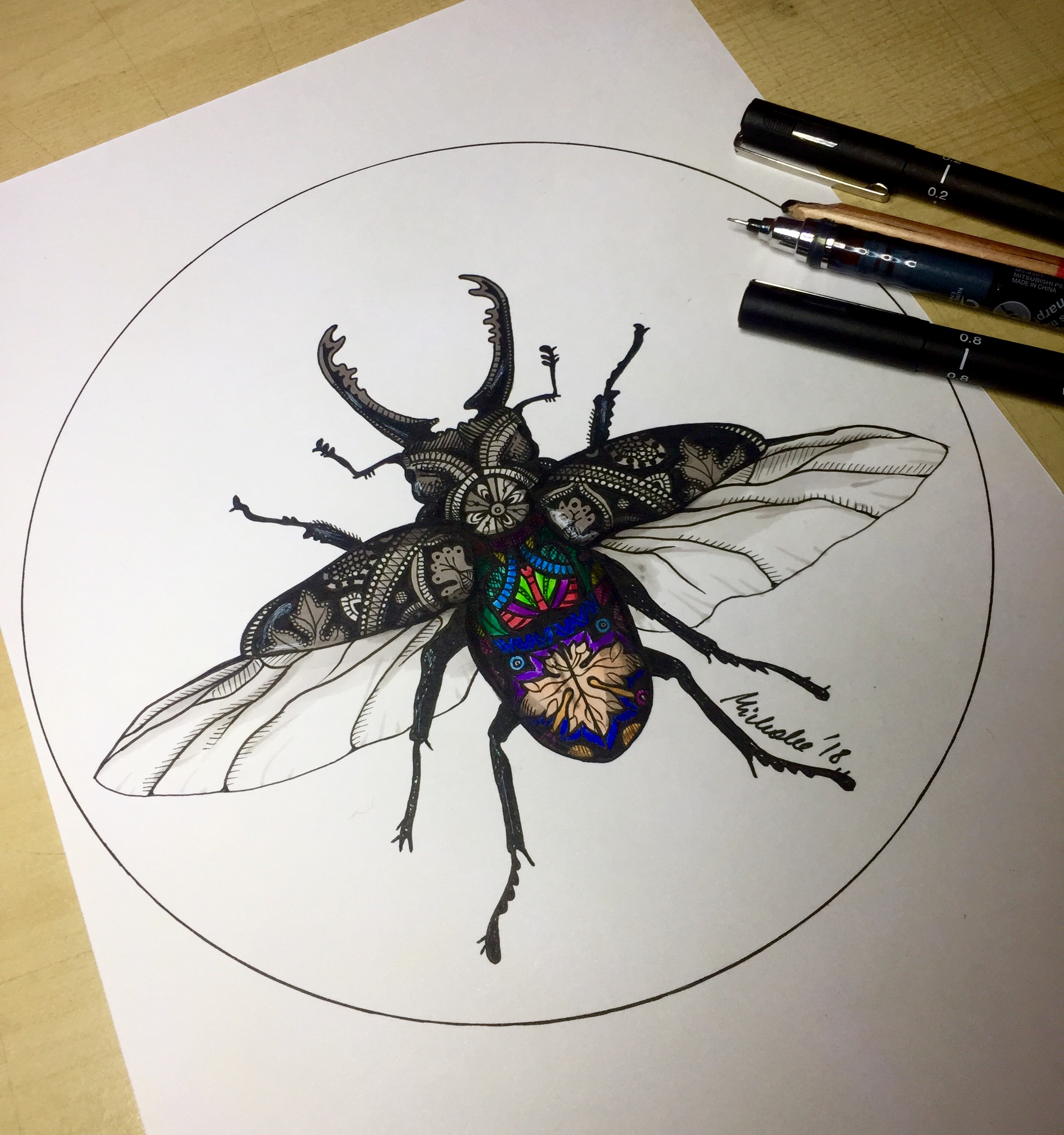 2448x2610 Stag Beetle Drawing By Me