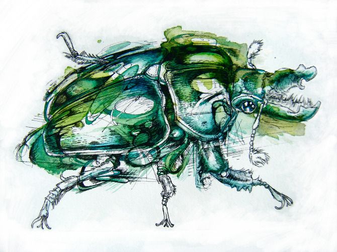 670x502 Two Beetles Ink, Watercolor, Marker
