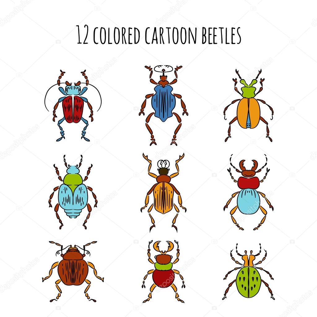 1024x1024 Beetles Insects