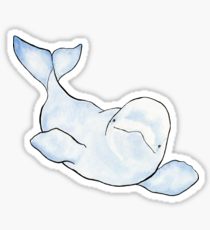 210x230 Beluga Whale Stickers Redbubble