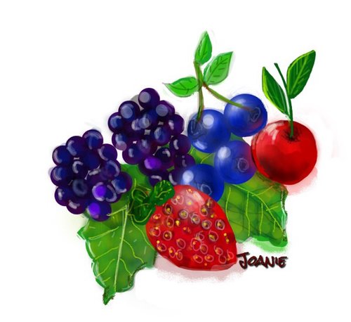 500x458 Berries Drawings