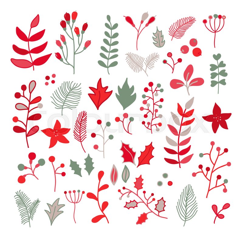 800x800 Christmas Floral Vector Drawing Set With Holly, Poinsettia