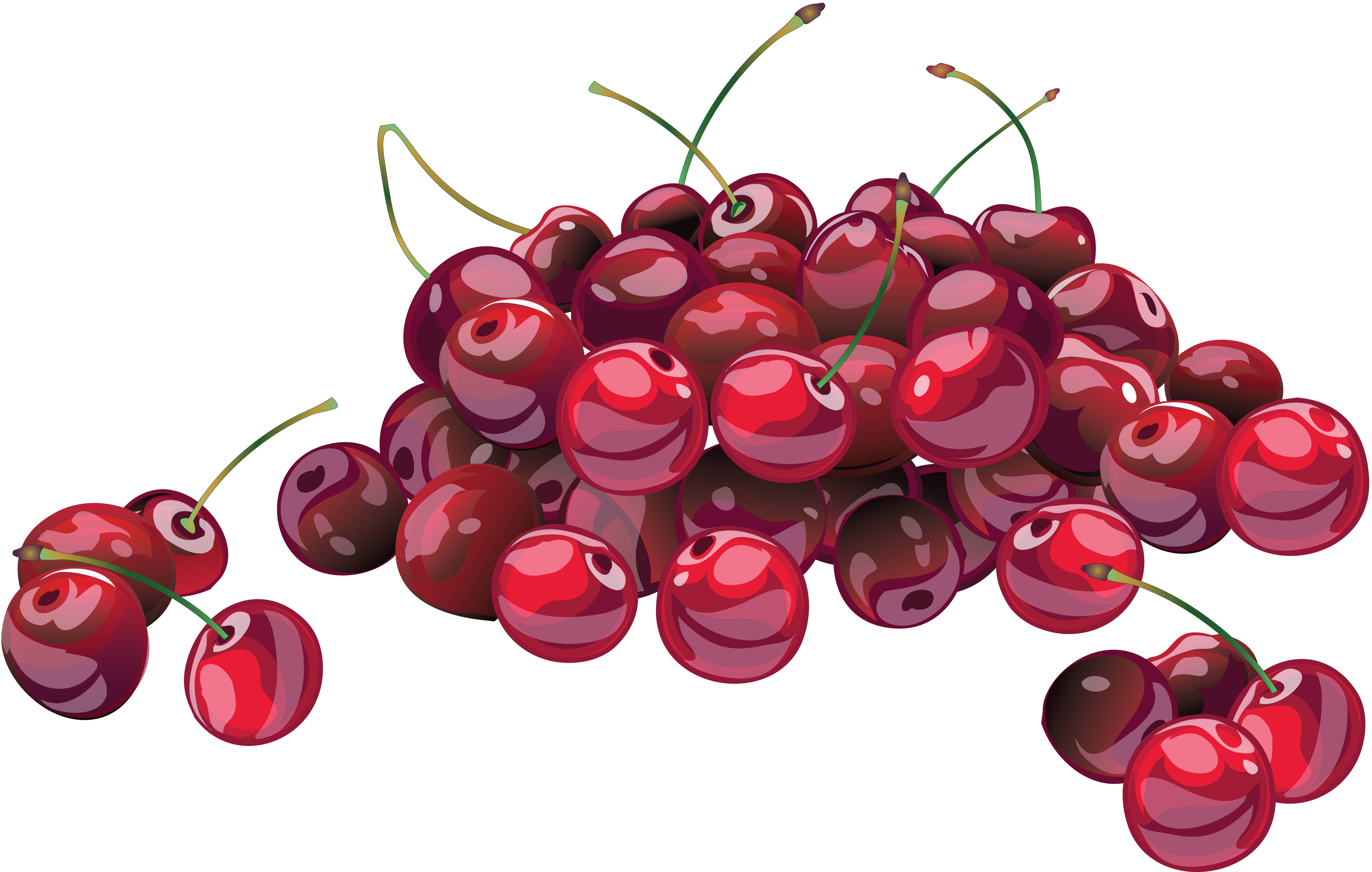 6136x3897 Wallpaper Cherry, Berry, Drawing, Branch, Many Hd, Picture, Image