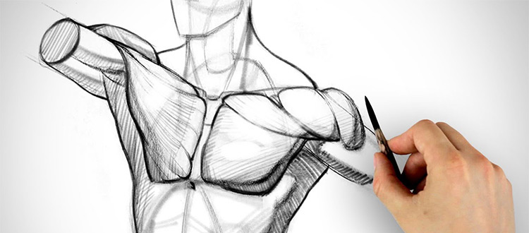 750x330 Best Free Youtube Channels For Teaching Yourself How To Draw