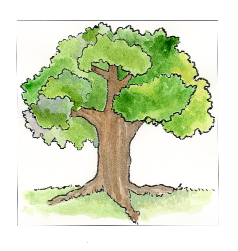 800x843 The Best Time To Plant A Tree Is 20 Years Ago.