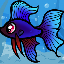 220x220 How To Draw How To Draw A Betta For Kids, Betta Fish